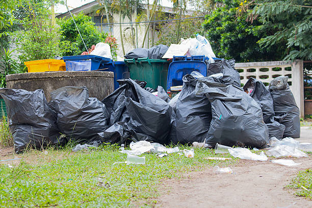 Yard Cleanup Services in Bardmoor, FL